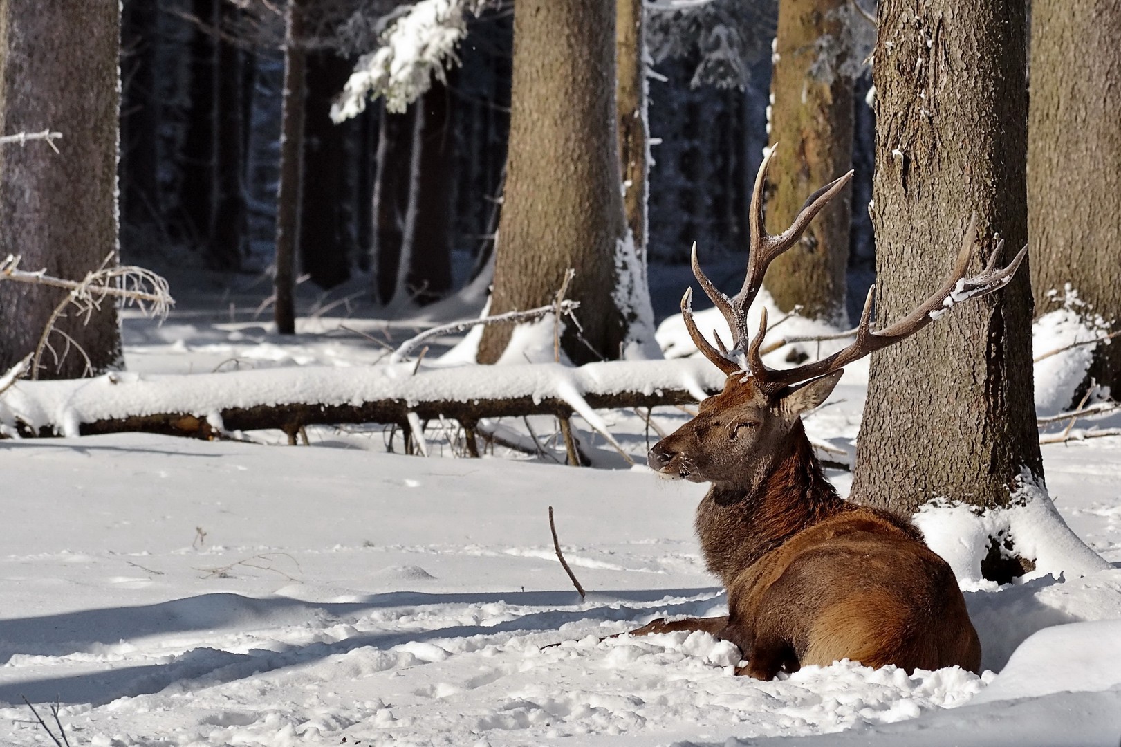 519c1006d8dd4690bd030206abc81967